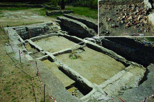 New biomolecular archaeological evidence points to the beginnings of viniculture In France