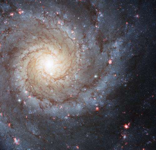 New insights on how spiral galaxies get their arms