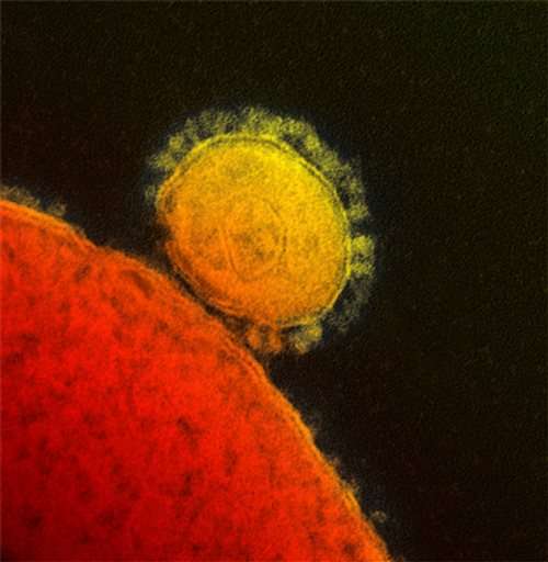 New MERS virus spreads easily, deadlier than SARS