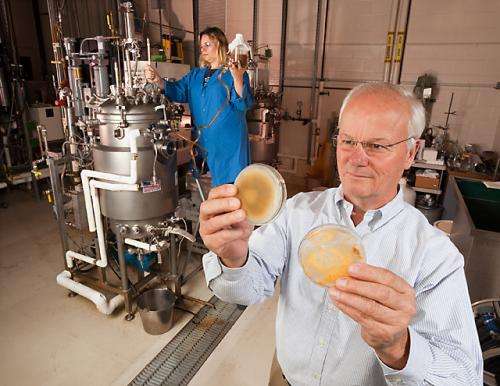New technology for harvesting the power of beneficial fungi