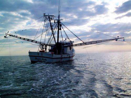 NOAA: 2012 US seafood landings remain near high 2011 levels