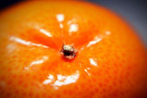 No need to get browned off: Edible films keep fruit fresh