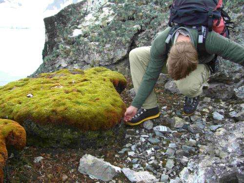 On warming Antarctic Peninsula, moss and microbes reveal unprecedented ecological change