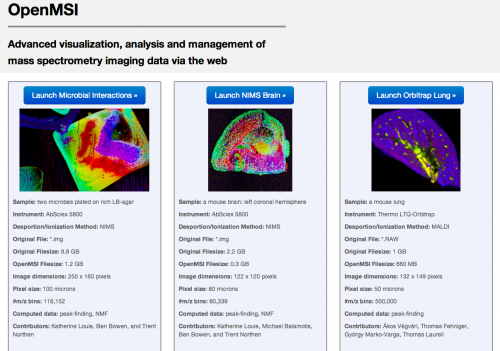 OpenMSI: A science gateway to sort through bio-imaging’s big datasets