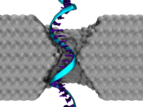 Penn Research Makes Advance in Nanotech Gene Sequencing Technique
