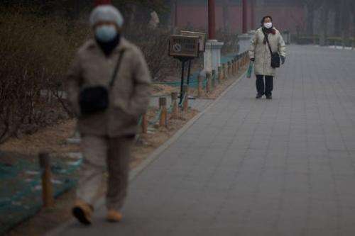 People wearing face masks walk through a park during heavily polluted weather in Beijing on January 30, 2013