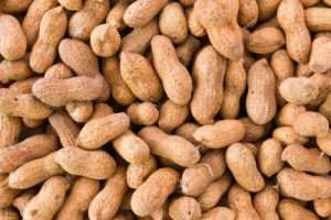 Pioneering study to investigate factors affecting how much peanut is safe to eat