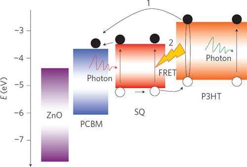 Polymer Solar Cells Employing Förster Resonance Energy Transfer
