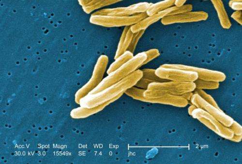 Potential new drug for tuberculosis