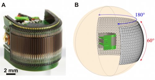 Researchers build curved insect-sized artificial compound eye (w/ video)