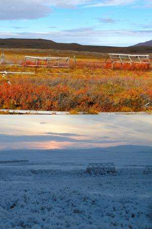 Research into carbon storage in Arctic tundra reveals unexpected insight into ecosystem resiliency
