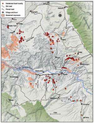 Scientists establish a mammalian biostratigraphy in the Zanda Basin, southwestern Tibet