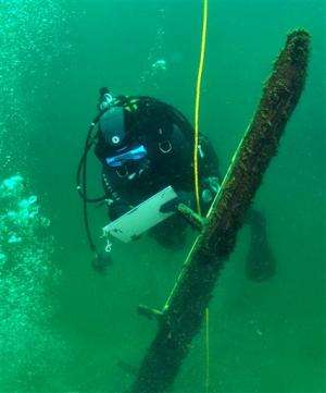 Scientists: Timber in Lake Michigan centuries old