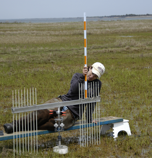 Scientist studies Hurricane Sandy’s impact on N.J. coastal wetlands, one year later