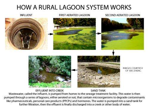 Sewage lagoons remove most -- but not all -- pharmaceuticals
