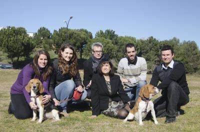 Spanish researchers cure type 1 diabetes in dogs