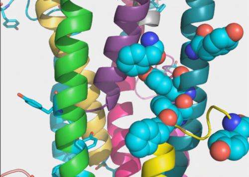 Structure of bacterial nanowire protein hints at secrets of conduction