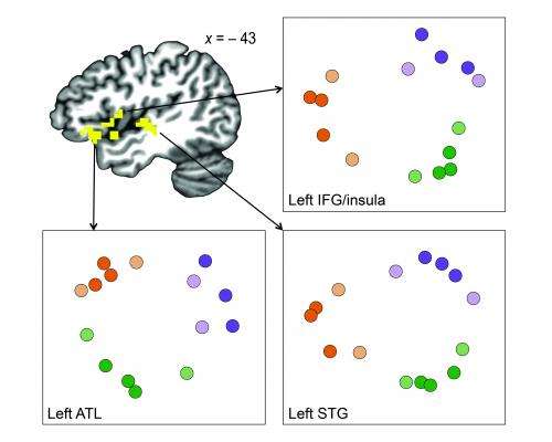 Subconscious mental categories help brain sort through everyday experiences