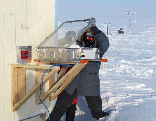 Sunlit snow triggers atmospheric cleaning, ozone depletion in the Arctic