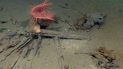Team examining Gulf shipwreck finds 2 other wrecks