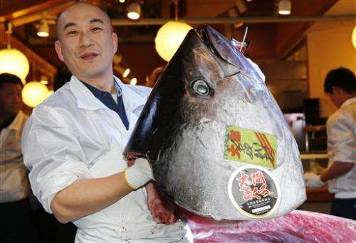 Tuna collapse fears fail to curb Japan's appetite