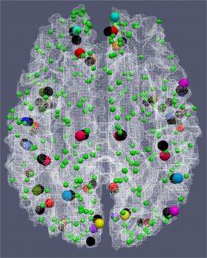 UGA researchers use new map of human brain to study dementia