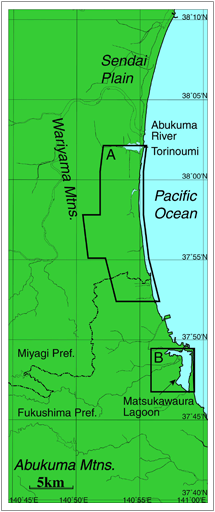 Underground permeation of seawater in tsunami disaster areas caused by 2011 off the Pacific coast of Tohoku earthquake