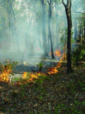 Using fire to manage fire-prone regions around the world