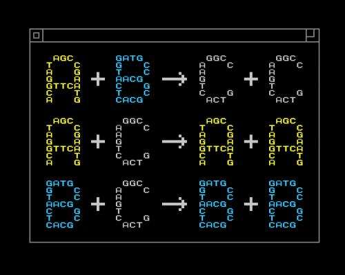 UW engineers invent programming language to build synthetic DNA