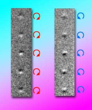Whirlpools on the nanoscale could multiply magnetic memory