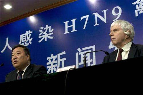 WHO talks with China on sending bird flu team
