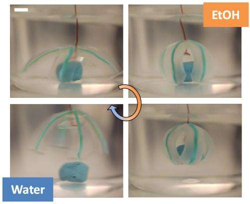 Researchers create 'soft robotic' devices using water-based gels