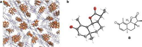Researchers devise technique to allow X-ray crystallography of un-crystallized molecule groups