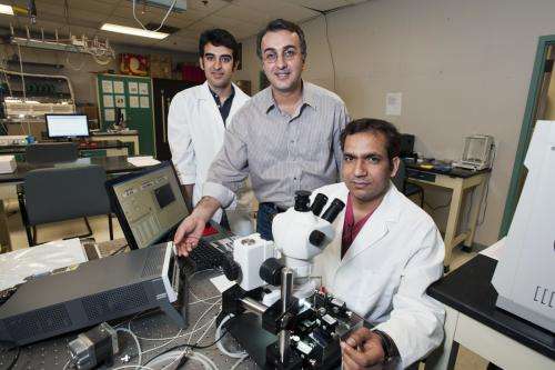Researchers fine-tune the sensitivity of nano-chemical sensor