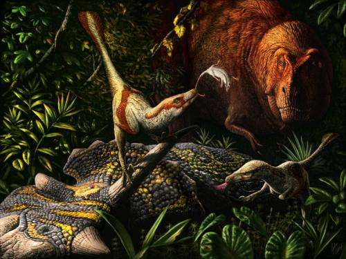 Newly discovered raptor lived alongside T. rex
