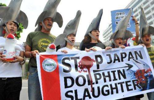 Environmental activists wear dolphin costumes to protest the annual slaughter of dolphins in Taiji, Japan, in front of the Japan