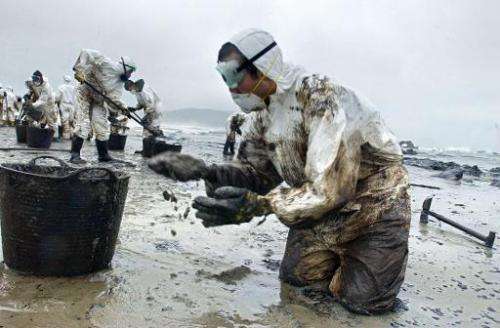 File picture shows volunteers cleaning the oil-polluted Nemina beach on December 1, 2002, after the tanker Prestige spilled 50,0