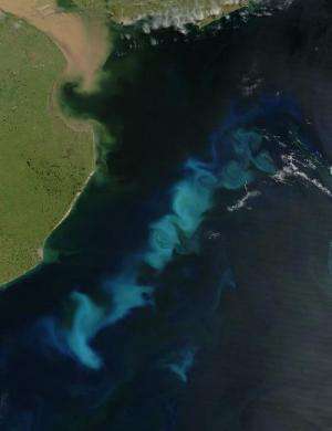 Scientists discover new variability in iron supply to the oceans with climate implications