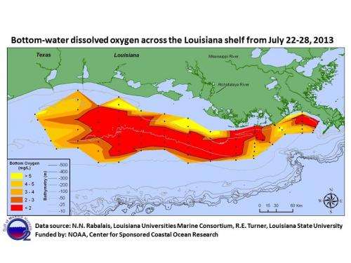 Scientists find large Gulf dead zone, but smaller than predicted