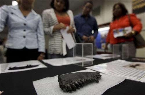 Scientists find ancient fossils in Panama