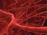 Researchers find key to blood-clotting process