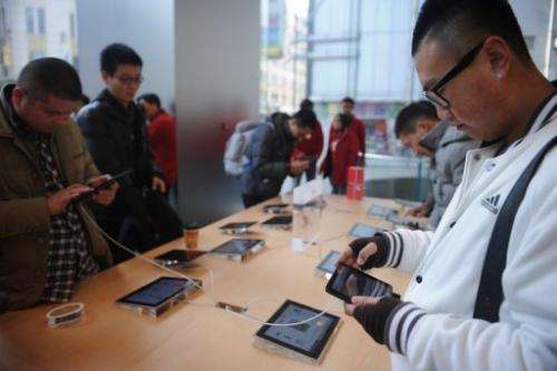 A customer looks at an &quot;iPad mini&quot; at an Apple store in Shanghai on December 7, 2012