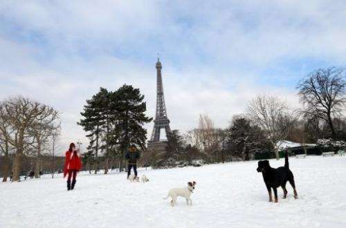 People are seen taking their dogs for a walk at the Champ-de-Mars near the Eiffel tower, in Paris, on March 13, 2013