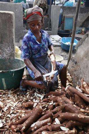 Scientist: Cassava disease spread at alarming rate
