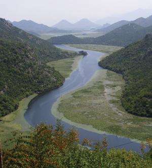 The splendid Skadar Lake (Montenegro and Albania), surprises with new species of snails