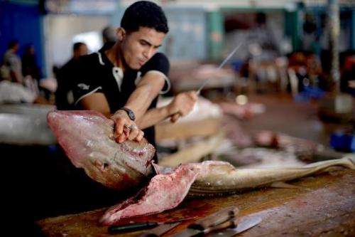 A Palestinian vendor carves a fish at market in Gaza City on August 28, 2013