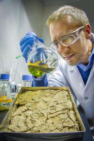 Berkeley Lab team uncovers secrets of biological soil crusts
