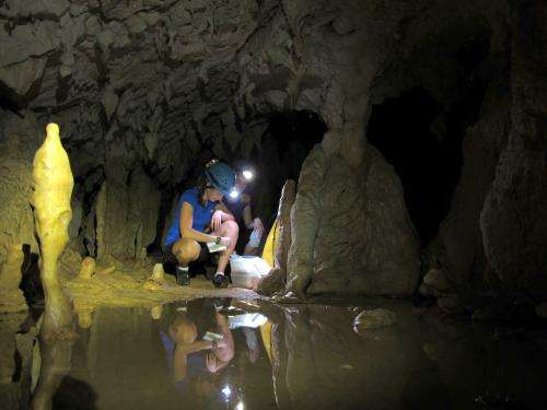 Borneo stalagmites provide new view of abrupt climate events over 100,000 years