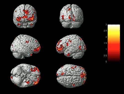 Carnegie Mellon researchers identify emotions based on brain activity