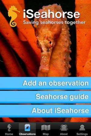 Crowdsourcing seahorses: New smartphone app offers hope for seahorse science and conservation